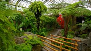 montreal botanical garden in rosemont