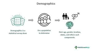 demographics meaning types effects