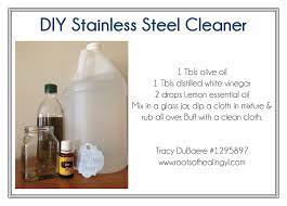 For this homemade stainless steel cleaner just add plain white vinegar to a spray bottle. Pin On Diy Cleaning Recipes
