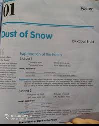 dust of snow poem summary english