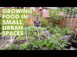 Growing Food In Urban Small Spaces