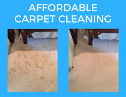 carpet cleaning son county tn