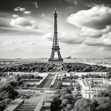 White Shot Of The Eiffel Tower In Paris