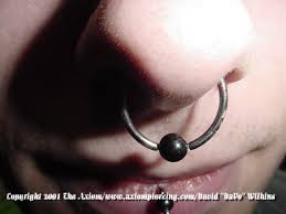 Most smiley piercings are performed with a ring or curved barbell and as such, it may not be wise to try and put in a straight bar. Septum Piercing Beaten To Death Axiom Body Piercing Studio