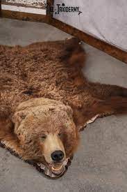 grizzly bear taxidermy rug sku 2641