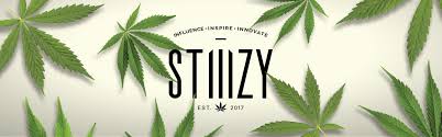 3 Full Gram Stiiizy Pods @ $130 – Secret Stash OC