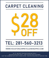 houston tx carpet cleaning pro high