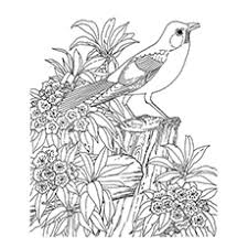 Just as important, coloring also can help. 27 Printable Nature Coloring Pages For Your Little Ones