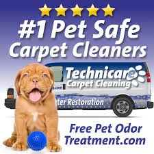 technicare carpet cleaning reviews