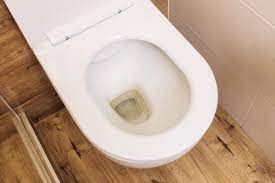 How To Clean Toilet Bowl Stains The Maids