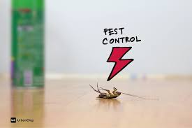 Pest control requires an objective look at the behavior of each organism to be mitigated and how to eliminate or at best control it. How To Get Rid Of Pests At Home Naturally The Urban Guide