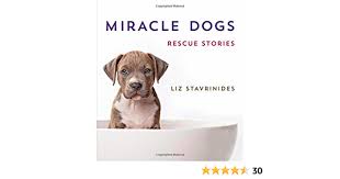 At vets4pets stockport we are dedicated to offering your pet high quality, affordable care. Miracle Dogs Rescue Stories Amazon Co Uk Stavrinides Liz Books