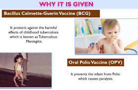 Essential Vaccination Chart For Babies And Kids Newborn