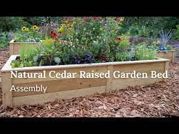 Natural Cedar Raised Garden Bed