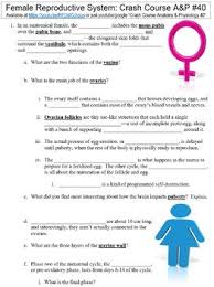 A complete study guide}, author={e. Female Anatomy Worksheets Teaching Resources Tpt