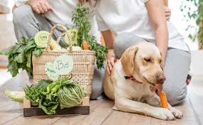 26 vegetables for dogs to eat or not