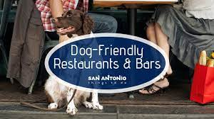 dog friendly restaurants and bars