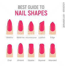 nail shapes manicure vector art