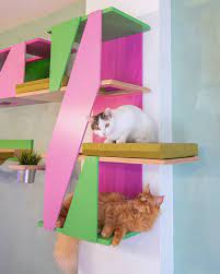 Big Cat Sharp Stacker Cat Shelf Cat