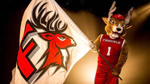 Register Today for the 2017-18 Lil' Stags Club! - Fairfield University  Athletics