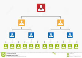 Organization Chart Tree Corporate Hierarchy Stock Vector