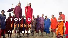 Image result for Top 10 Biggest Cities In Uganda