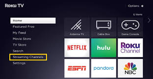 Watch the latest releases, original series and movies, classic films, throwback tv shows, and so much more. How To Watch Disney Plus On Roku In 2021