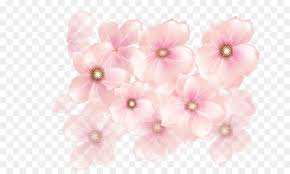 flowers background free png