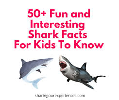 interesting shark facts for kids
