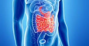 Da quali parti è composto l'intestino crasso? Come Ripulire L Intestino Naturalmente