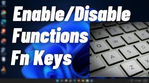 disable function fn keys in windows 11