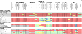 74 Actual Antibiotic Chart Sanford