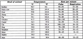 Determination Of Temperature Pulse And Respiration Of Animals