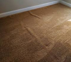 the carpet handyman nextdoor