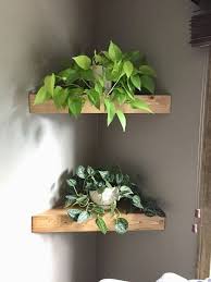 Plant Decor Indoor Plant Shelves