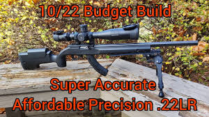 affordable precision 22lr budget build