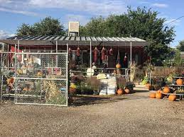 11 Best Garden Centers And Nurseries In