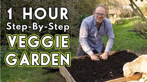 new vegetable garden how to get