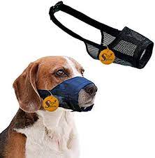 Sage Square Buckle Strap Strap Net Wire Muzzle Cum Mouth Cover Cum Basket  Cage Cum Pet Safety Collar for Anti Biting Dog (Black) (Large) : Amazon.in:  Pet Supplies
