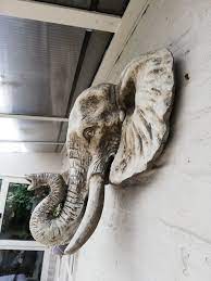 Elephant Head Wall Mounted Uk