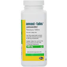 Amoxicillin 400 Mg Sold Per Tablet