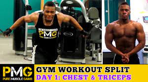 gym workout day 1 chest triceps