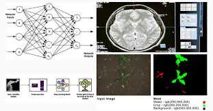 types of neural network algorithms in