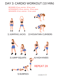 5 Day Workout Routine At Home No