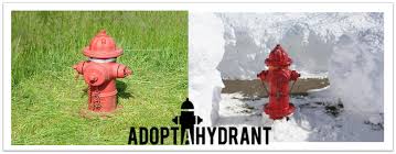 adopt a hydrant countryside fire