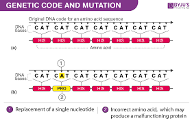 genetic code and mutation an overview