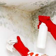 Walls With Bleach And Baking Soda