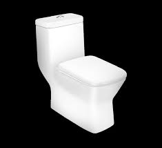 Buy Element 92085 Western Toilet