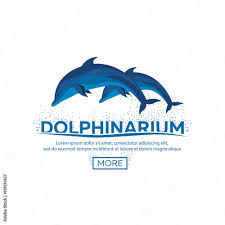 dolphinarium logo dolphin logo banner