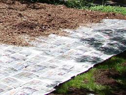 how to start a new garden bed removing